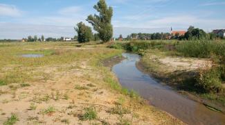 Renaturierung der Schwarzach bei Seligenporten